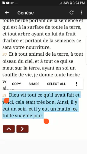 Bible en français Louis Segond screenshot 5