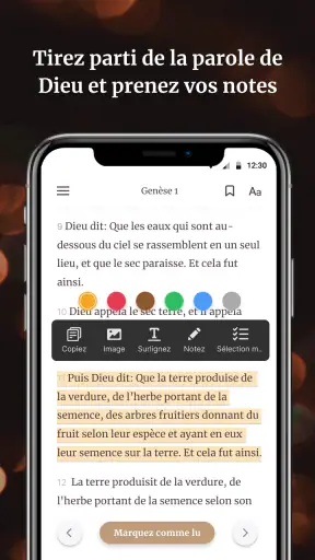 Bible Louis Segond screenshot 5