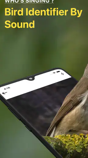 Bird Identifier: Chant Oiseaux screenshot 1