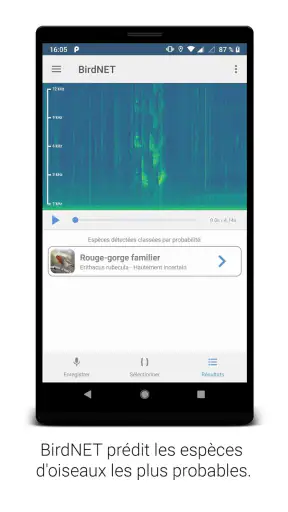 BirdNET screenshot 3