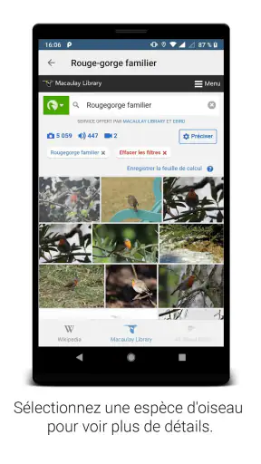 BirdNET screenshot 4