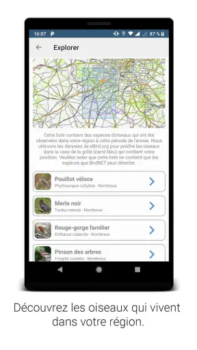 BirdNET screenshot 5