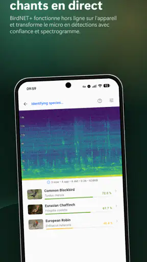 BirdNET Live screenshot 2