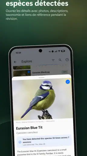 BirdNET Live screenshot 5