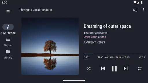 BubbleUPnP DLNA/Chromecast screenshot 8