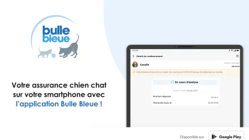 Bulle Bleue screenshot 6