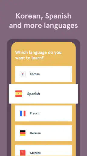 Bunpo: Apprendre les langues screenshot 6