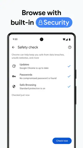Chrome Dev screenshot 7