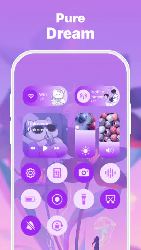 Control Widget: Theme & Panels screenshot 5