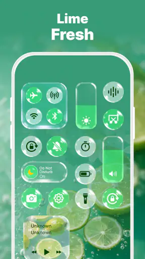 Control Widget: Theme & Panels screenshot 9