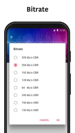 Convertisseur MP3 - MP4 to MP3 screenshot 4