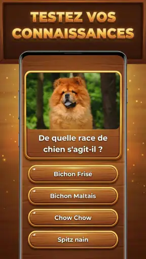 Défi Trivia : Trivia Blocks screenshot 2