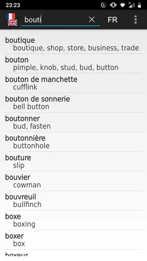 Dictionnaire Anglais-Français screenshot 1