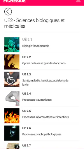 Fiches IDE screenshot 6