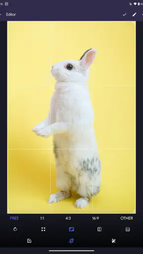 Fossify Gallery screenshot 10