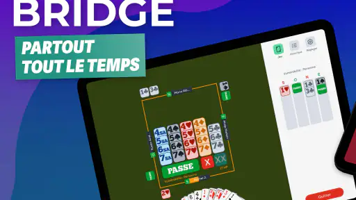 Fun Bridge screenshot 9