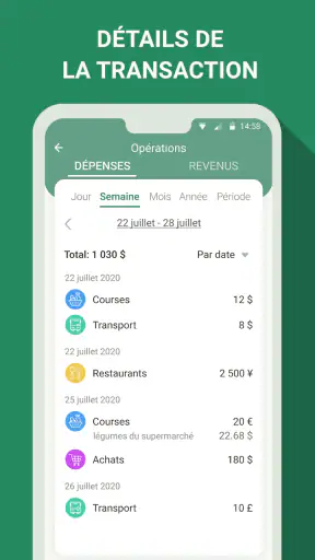 Gestion budget - dépenses screenshot 3