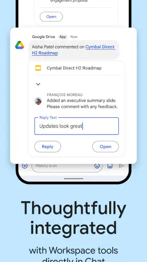 Google Chat screenshot 8
