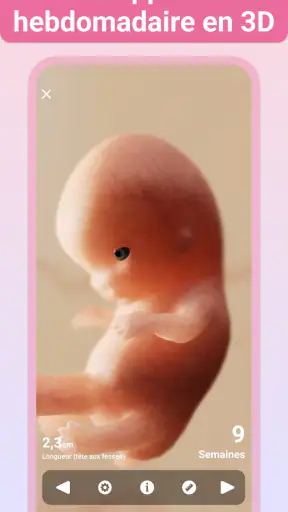 Grossesse + | Appli de Suivi screenshot 11