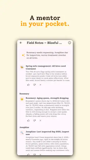 HiveBloom screenshot 4