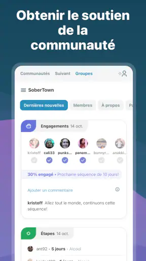I Am Sober - Je suis sobre screenshot 6