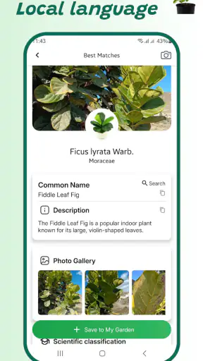 Identifiant de plante screenshot 2
