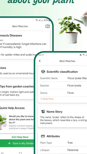 Identifiant de plante screenshot 3