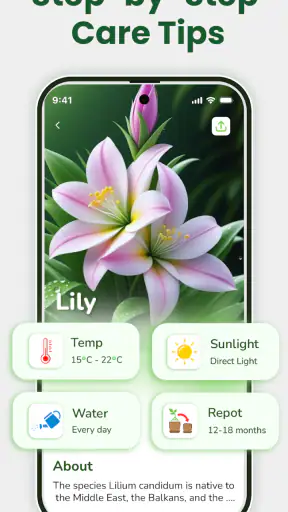 Identificateur de plantes screenshot 2