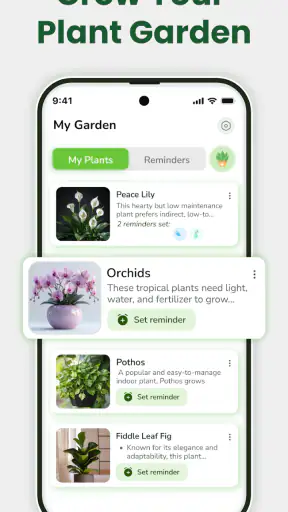 Identificateur de plantes screenshot 7