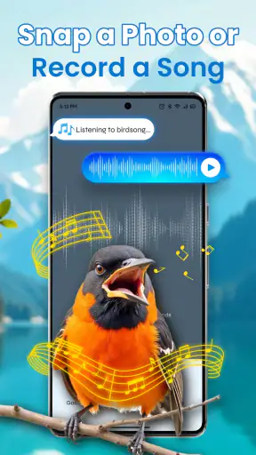 Identification des oiseaux screenshot 2
