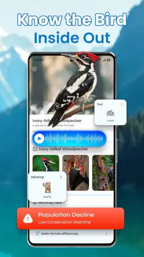Identification des oiseaux screenshot 8