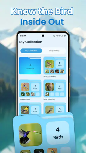 Identification des oiseaux screenshot 9