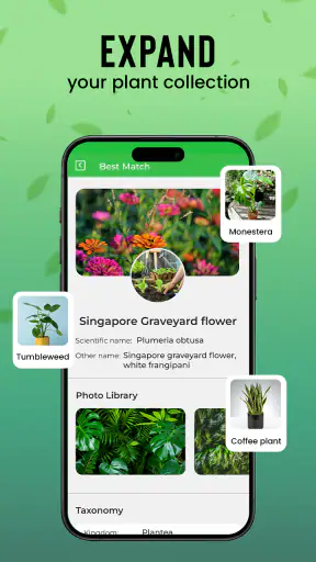 Identification des plantes screenshot 10