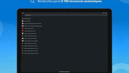 IMAIOS e-Anatomy screenshot 11