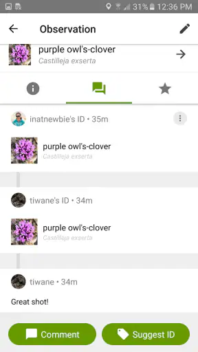 iNaturalist screenshot 4