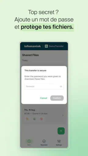 Infomaniak SwissTransfer screenshot 3