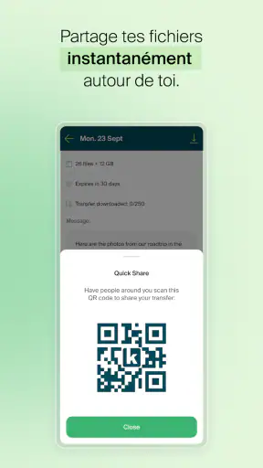 Infomaniak SwissTransfer screenshot 6