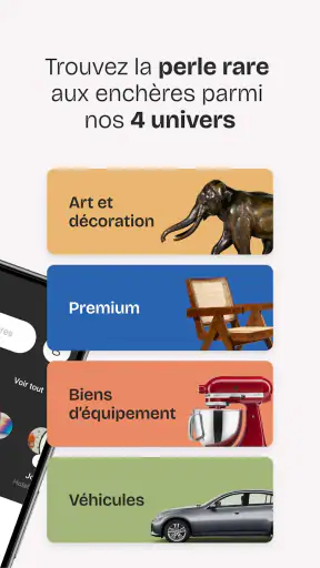 Interencheres enchère en ligne screenshot 2