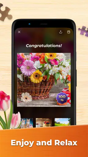 Jeux de Puzzle Pour Adultes screenshot 3