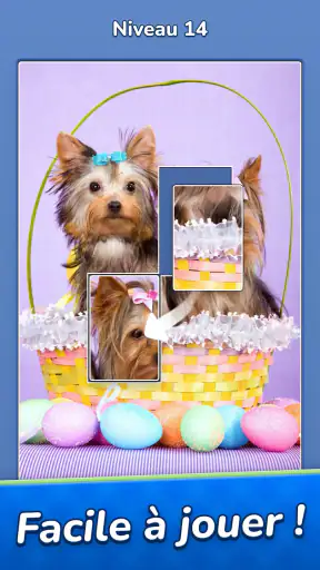 Jigsawcard Solitaire Puzzle screenshot 12