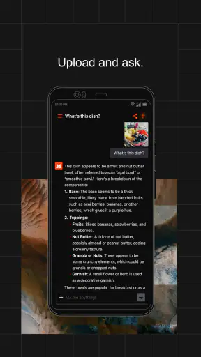 Vibe by Mistral (ex-Le Chat) screenshot 3