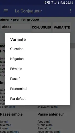 Le Conjugueur screenshot 5