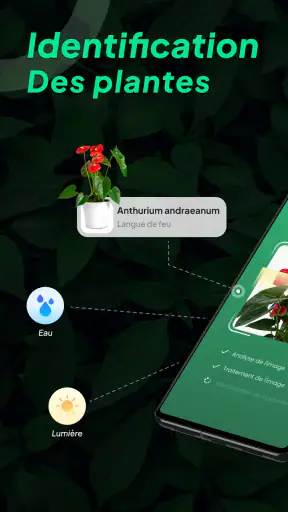 Identifier Plantes: LeafSnap screenshot 1