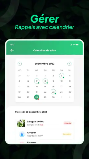 Identifier Plantes: LeafSnap screenshot 12