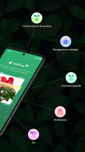 Identifier Plantes: LeafSnap screenshot 2