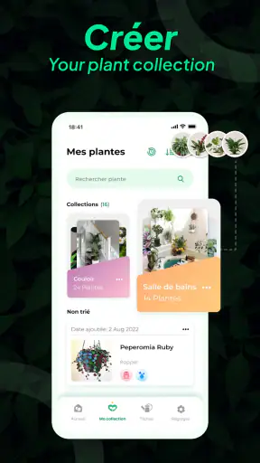 Identifier Plantes: LeafSnap screenshot 3