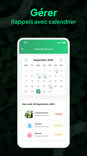 Identifier Plantes: LeafSnap screenshot 6