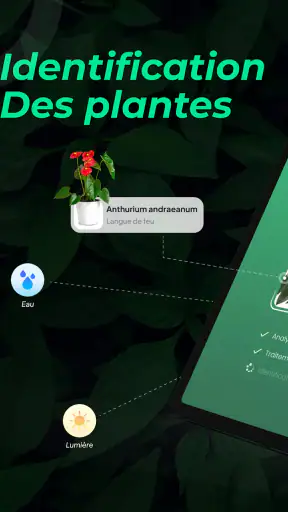 Identifier Plantes: LeafSnap screenshot 7