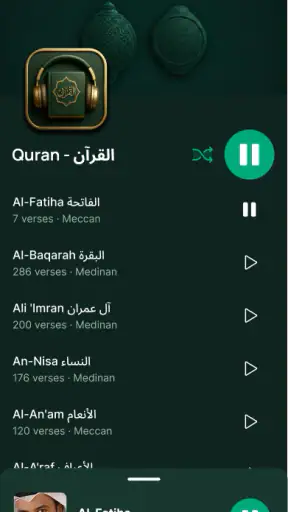 Lecteur Coran audio hors ligne screenshot 5