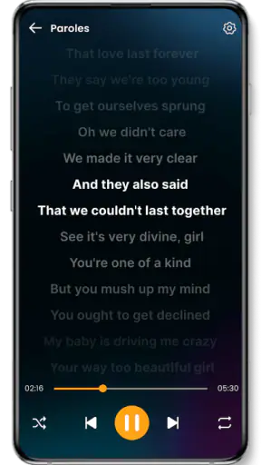 Lecteur de musique screenshot 12